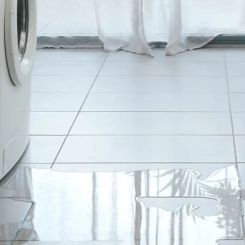 Appliance Leak Cleanup in Prosper, TX