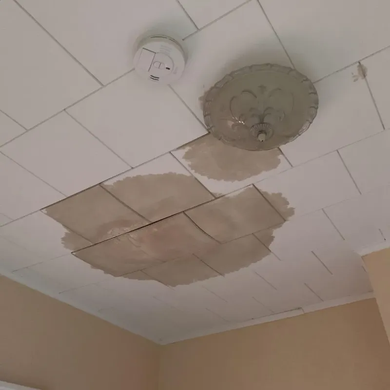 Ceiling Water Damage Repair in Prosper, TX